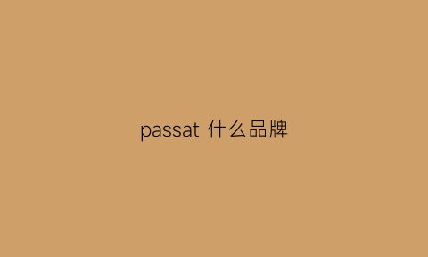 passat什么品牌(大众passat什么车)